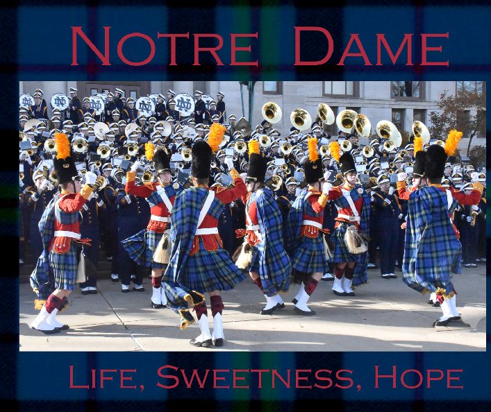 View Notre Dame by Stephen Majsak