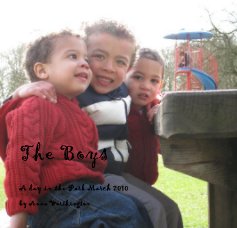The Boys book cover