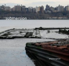 submersion book cover