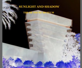 SUNLIGHT AND SHADOW book cover