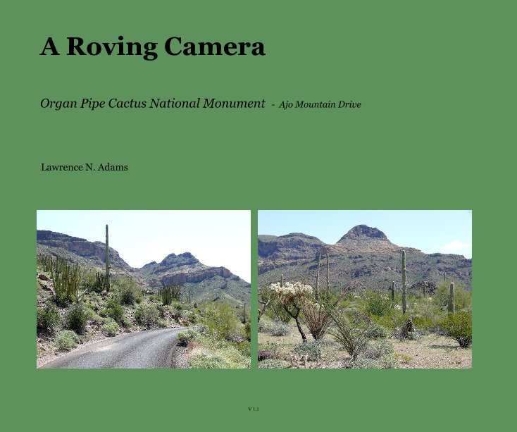 Ver A Roving Camera por Lawrence N. Adams