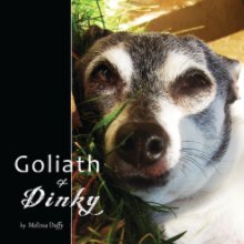 Goliath & Dinky book cover