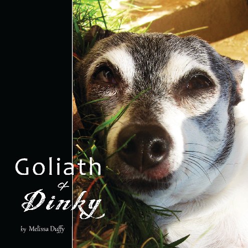 Bekijk Goliath & Dinky op Melissa Duffy