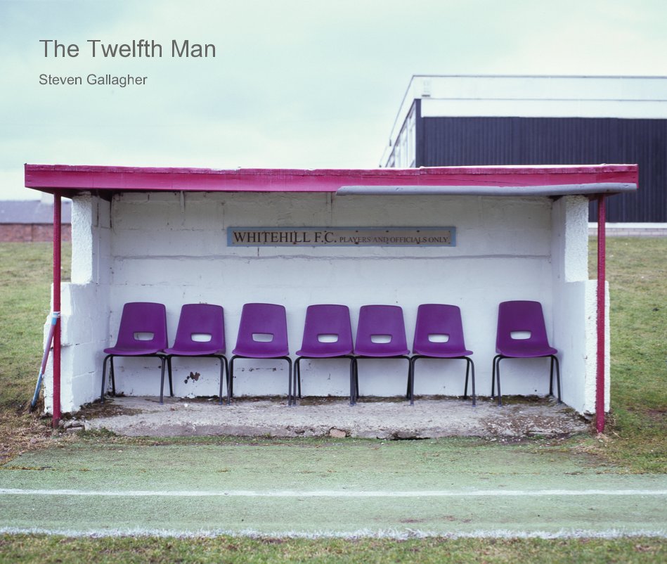 View The Twelfth Man by Steven Gallagher