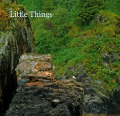 Little Things book cover