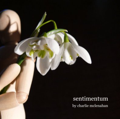 SENTIMENTUM book cover