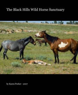The Black Hills Wild Horse Sanctuary book cover