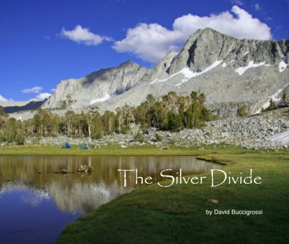 The Silver Divide book cover