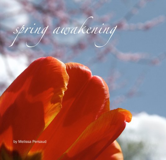 View spring awakening by Melissa Persaud