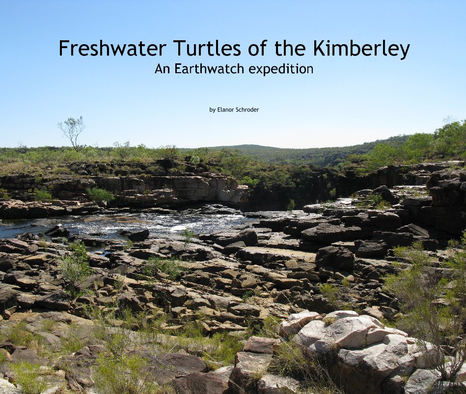 View Freshwater Turtles of the Kimberley by Elanor Schroder