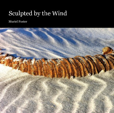 Sculpted by the Wind book cover