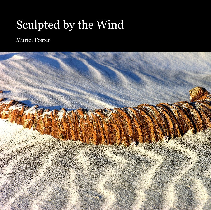 Bekijk Sculpted by the Wind op Muriel Foster