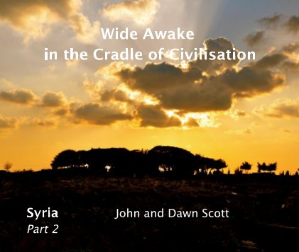 Wide Awake in the Cradle of Civilisation book cover