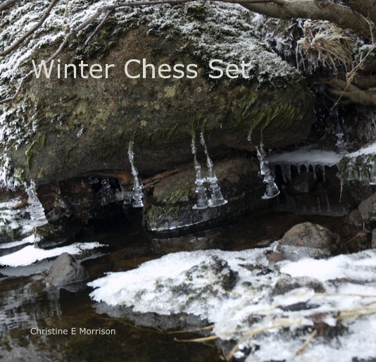 View Winter Chess Set by Christine E Morrison