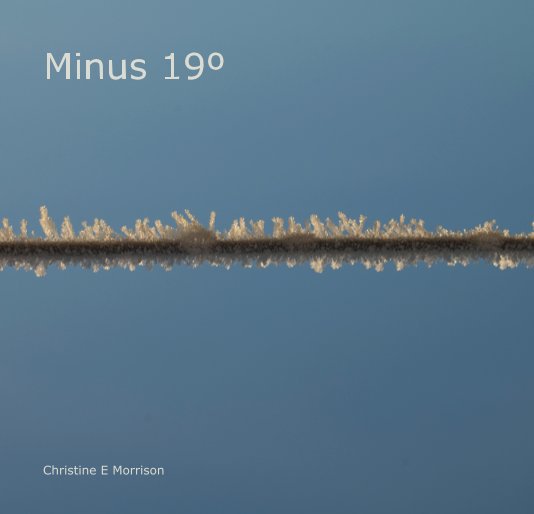 View Minus 19º by Christine E Morrison