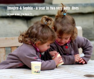 Imogen & Sophia - a year in two very busy lives book cover