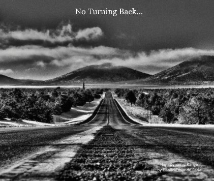 No Turning Back... book cover