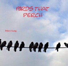 Birds that perch book cover