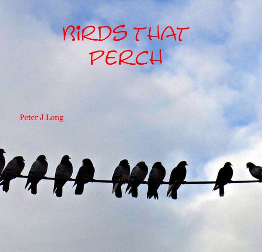 View Birds that perch by Peter J Long