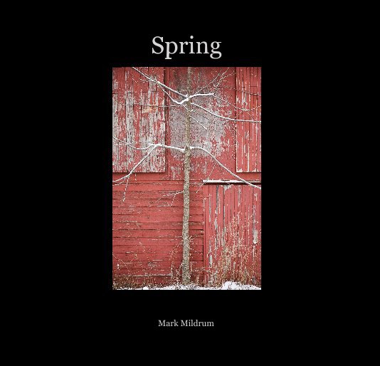 View Spring by Mark Mildrum