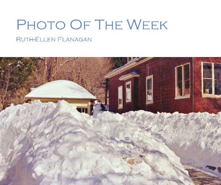 View Photo Of The Week by needlepoint