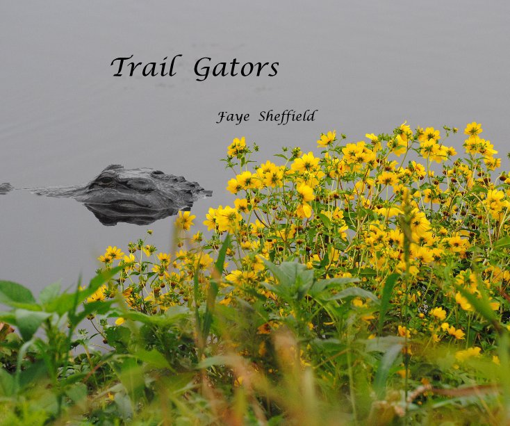 View Trail Gators by Faye Sheffield