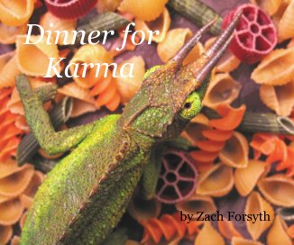 Dinner for Karma book cover