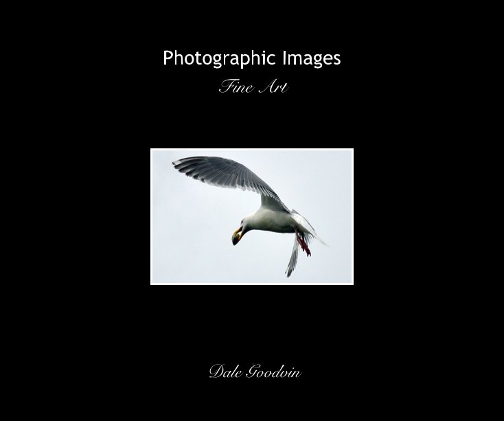View Photographic Images by Dale Goodvin