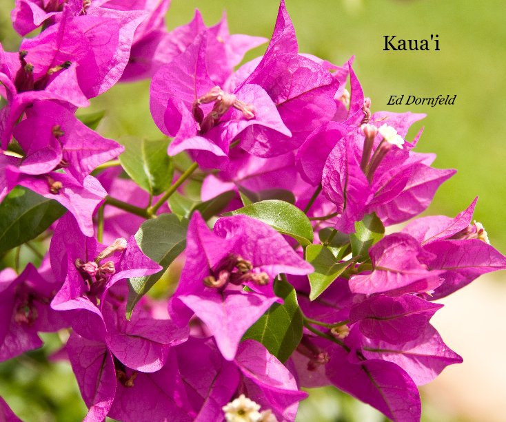 View Kaua'i by Ed Dornfeld