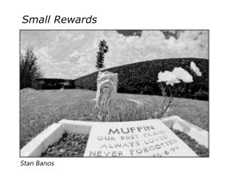 Small Rewards book cover