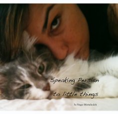 Speaking Persian to little things book cover