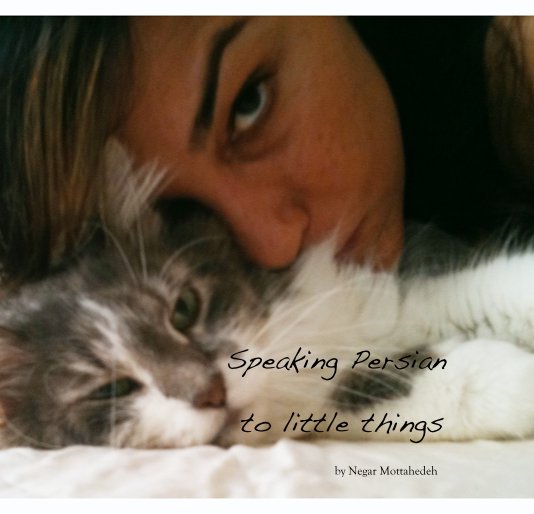 View Speaking Persian to little things by Negar Mottahedeh