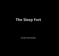 The Sleep Fort book cover