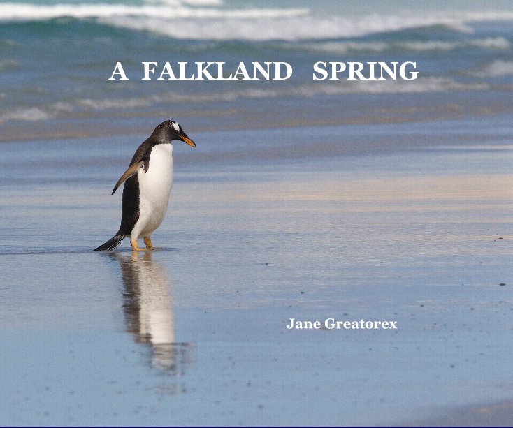 Bekijk A FALKLAND SPRING op Jane Greatorex ARPS