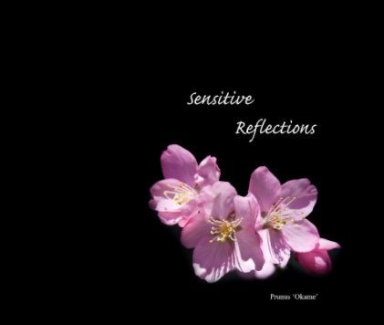 Sensitive Reflections book cover