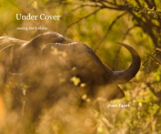 Under Cover book cover