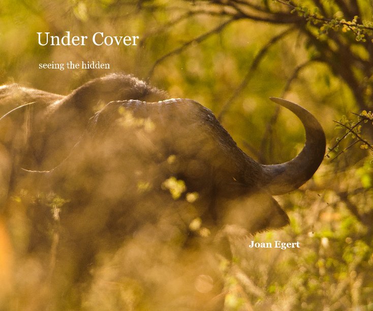 View Under Cover by Joan Egert