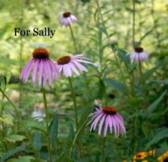 For Sally book cover