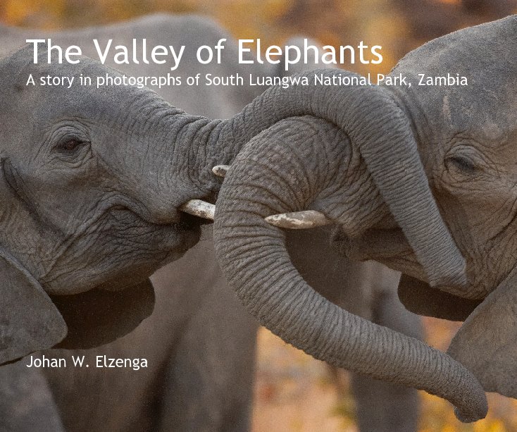 View The Valley of Elephants by Johan W. Elzenga