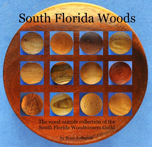 View South Florida Woods by Brian A. Seguin