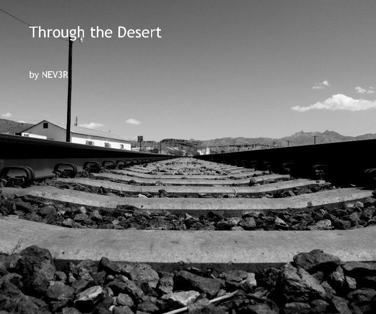 Visualizza Through the Desert di NEV3R