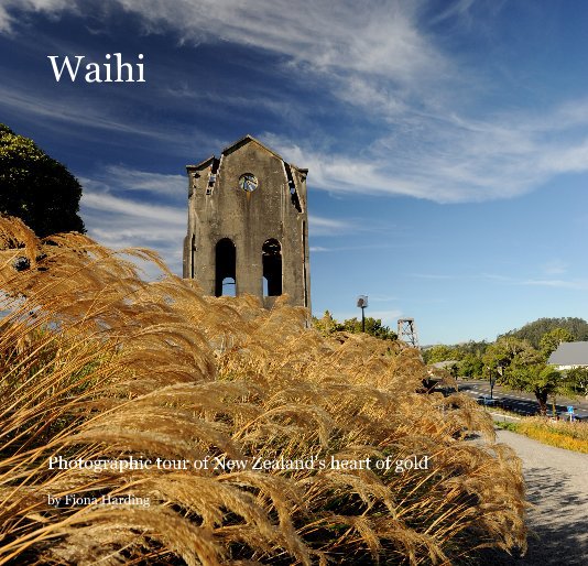 View Waihi by Fiona Harding