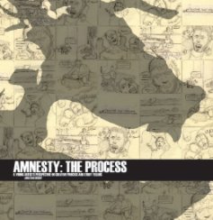 Amnesty: The Process book cover