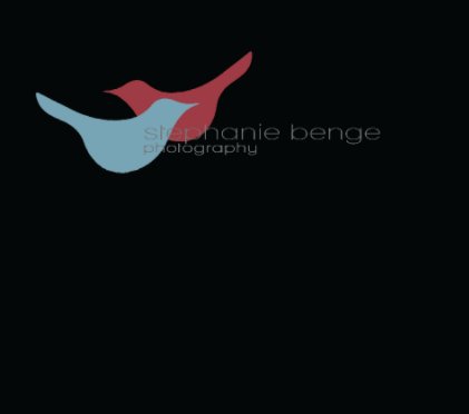 stephanie benge photography book cover