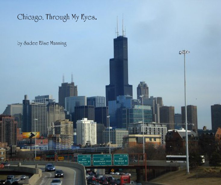 View Chicago, Through My Eyes. by Sadee Elise Manning
