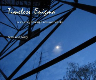 Timeless Enigma book cover