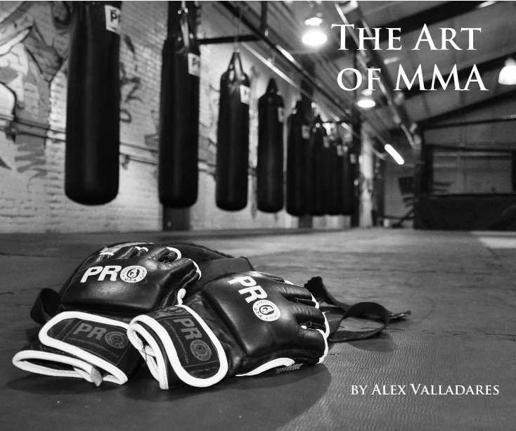 Ver The Art of MMA por Alex Valladares