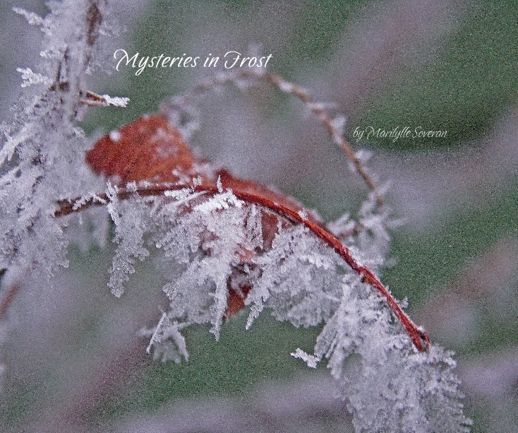 View Mysteries in Frost by Marilylle Soveran