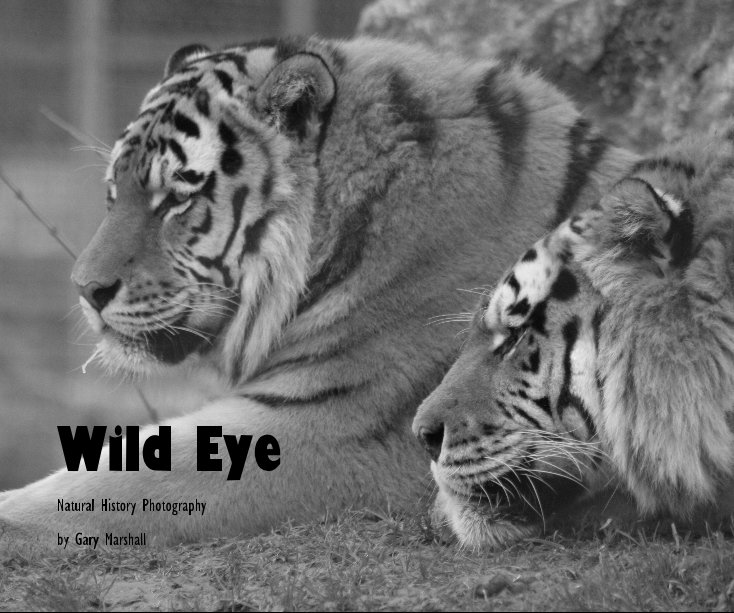 View Wild Eye by Gary Marshall