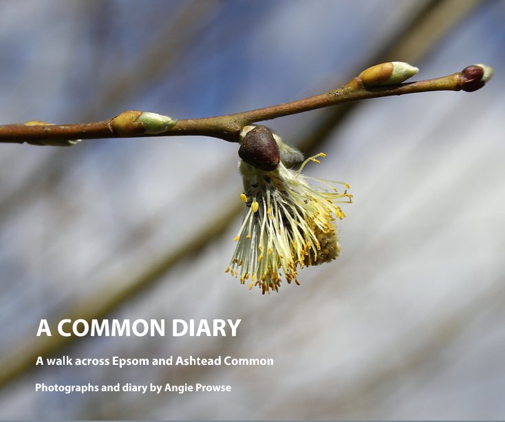Bekijk A Common Diary op Angie Prowse